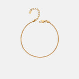 Brazalete Lula