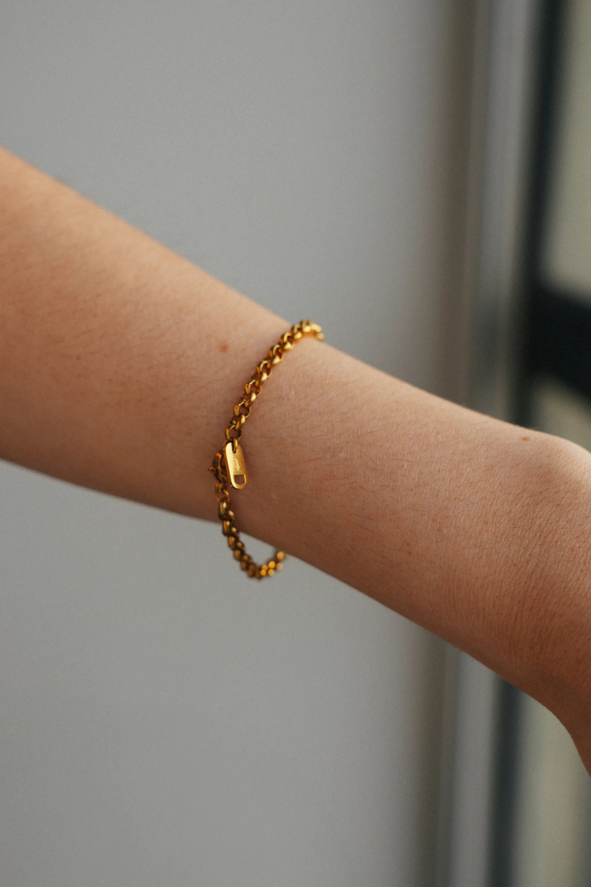 Imagen de diapositiva