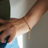 Brazalete Lula