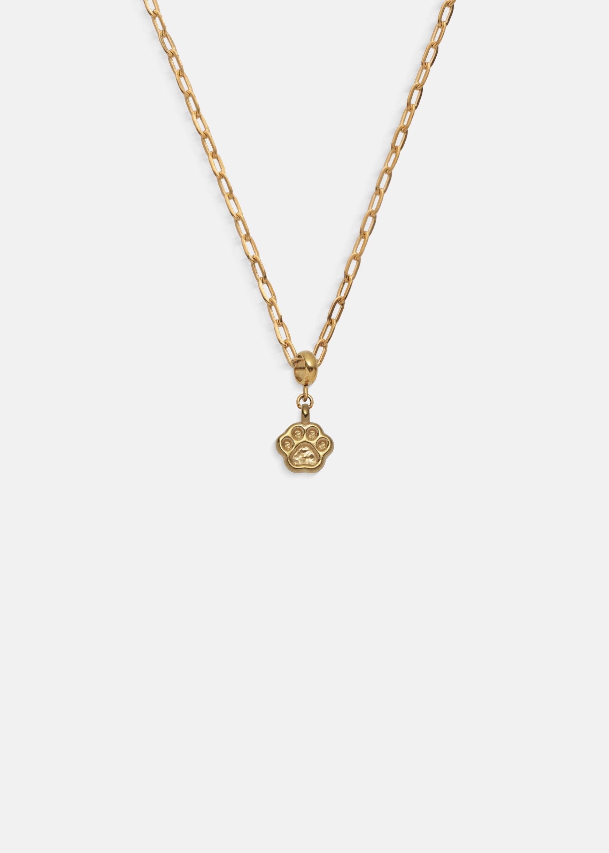 Imagen de diapositiva