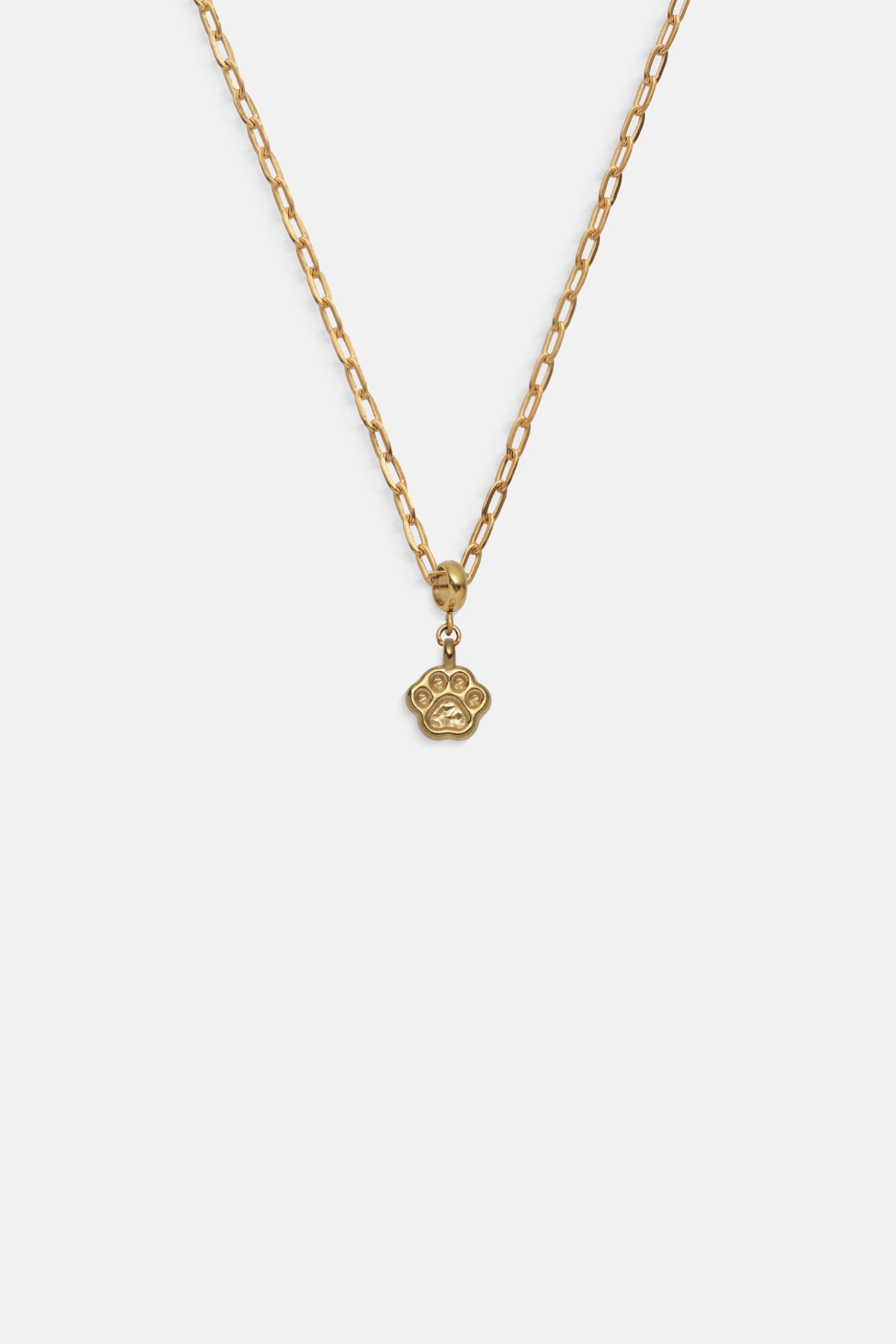 Imagen de diapositiva