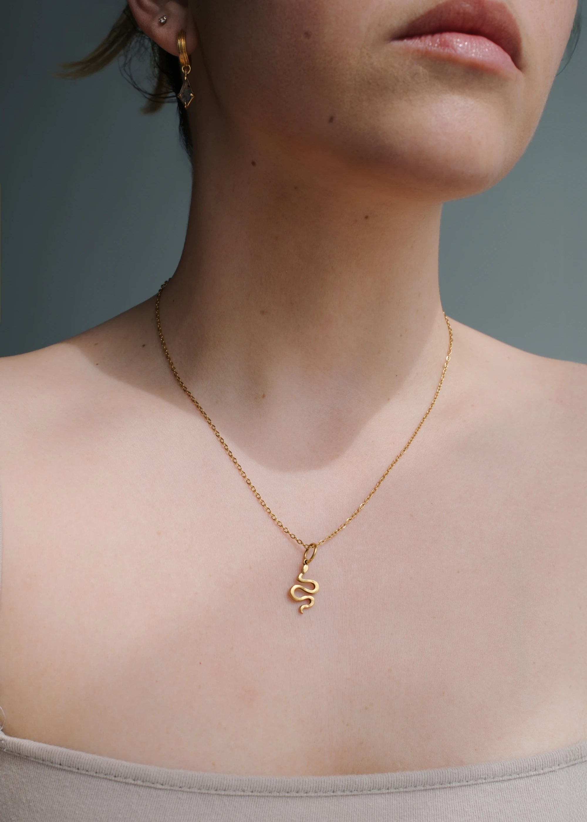 Collar Serpent Charm