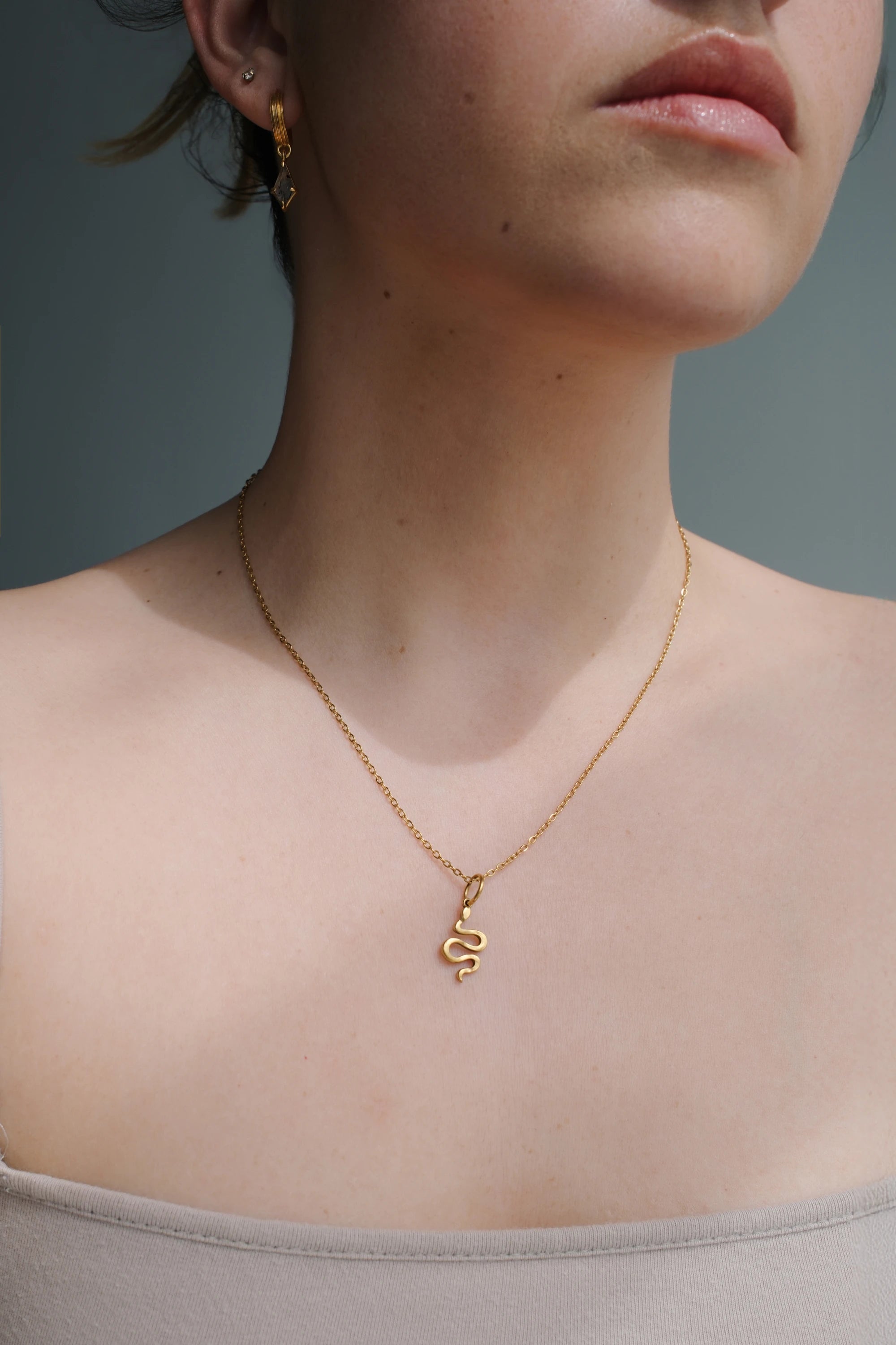Collar Serpent Charm