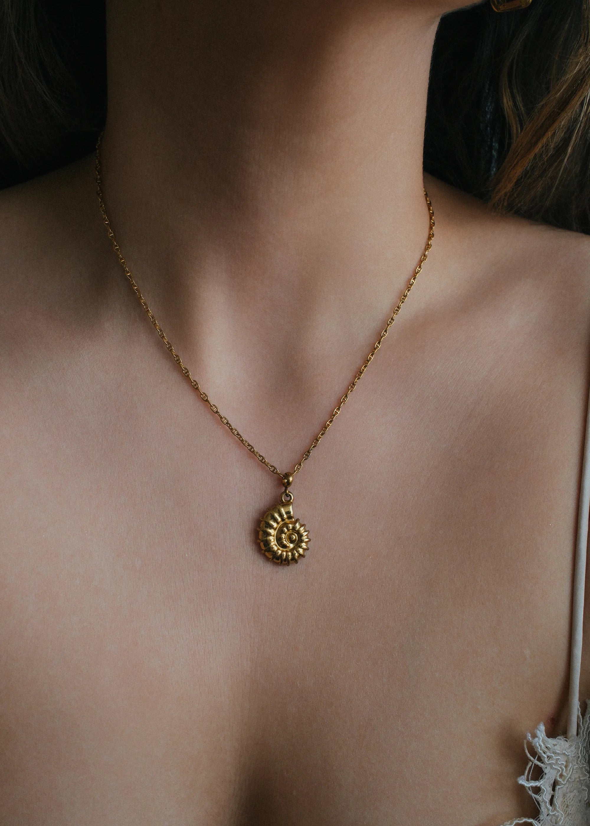 Collar Nautilus Charm