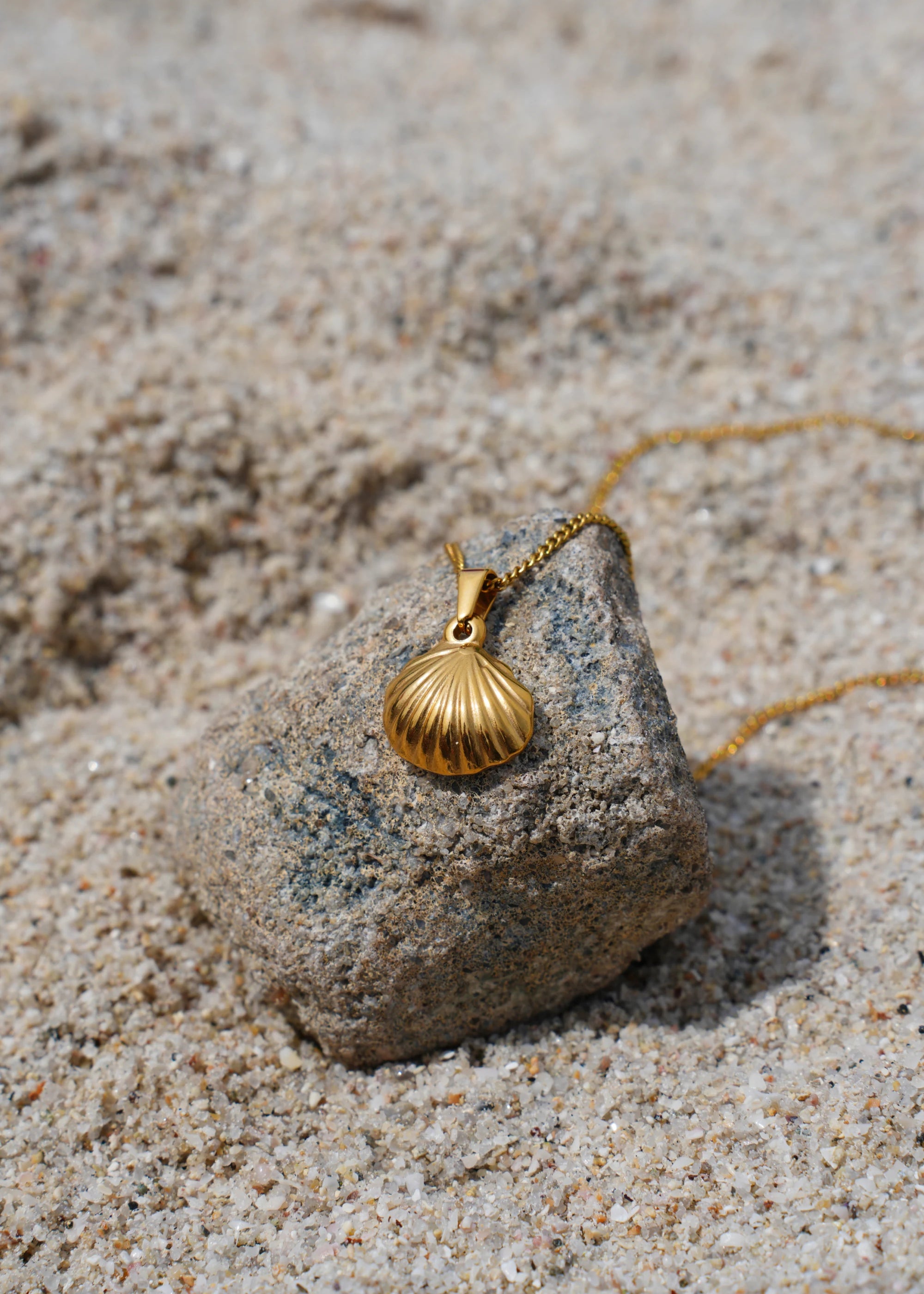 Seashell Charm