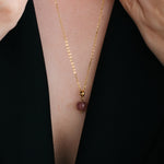 Imagen de diapositiva