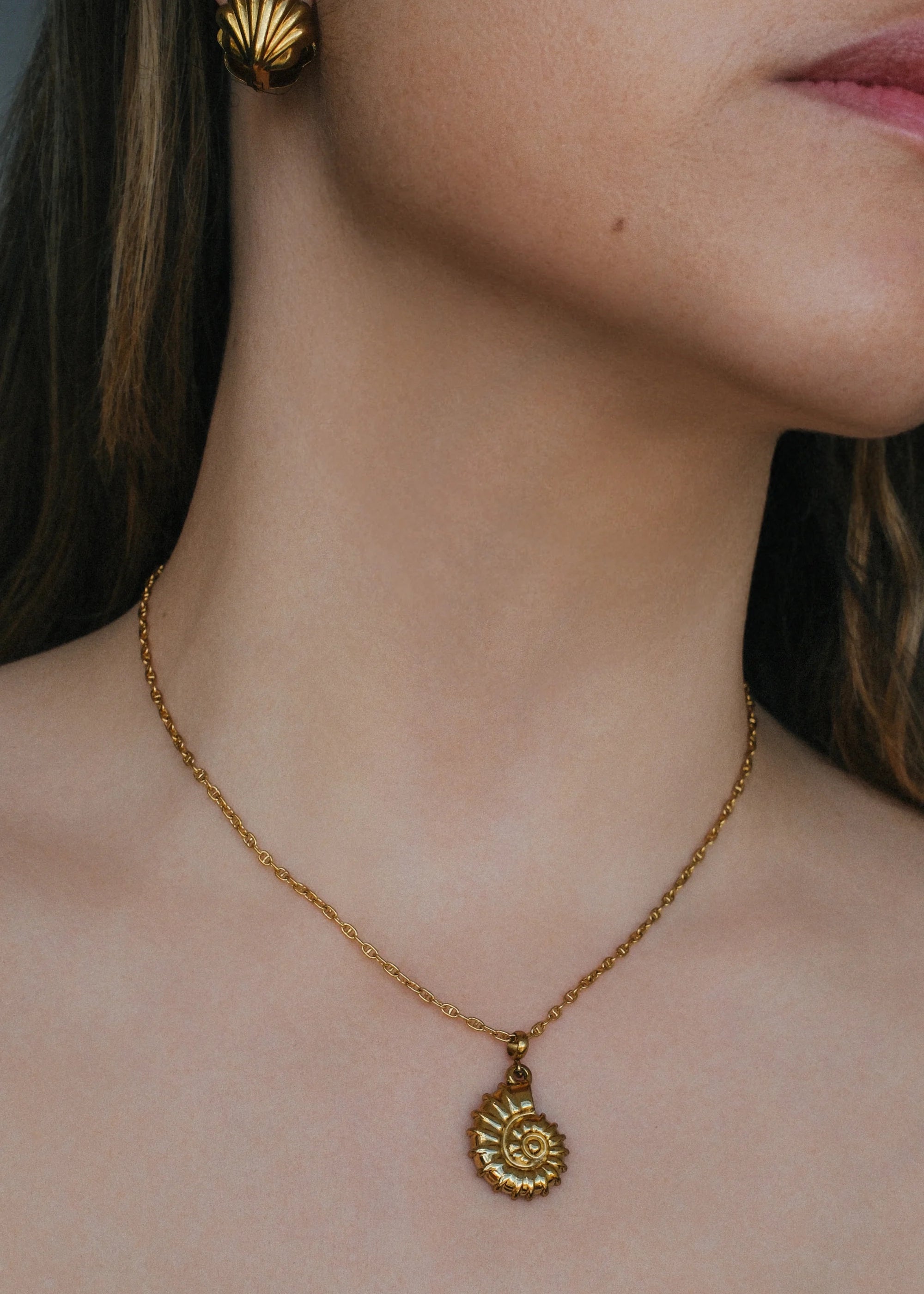 Collar Mariner