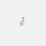 Oval Cut Charm