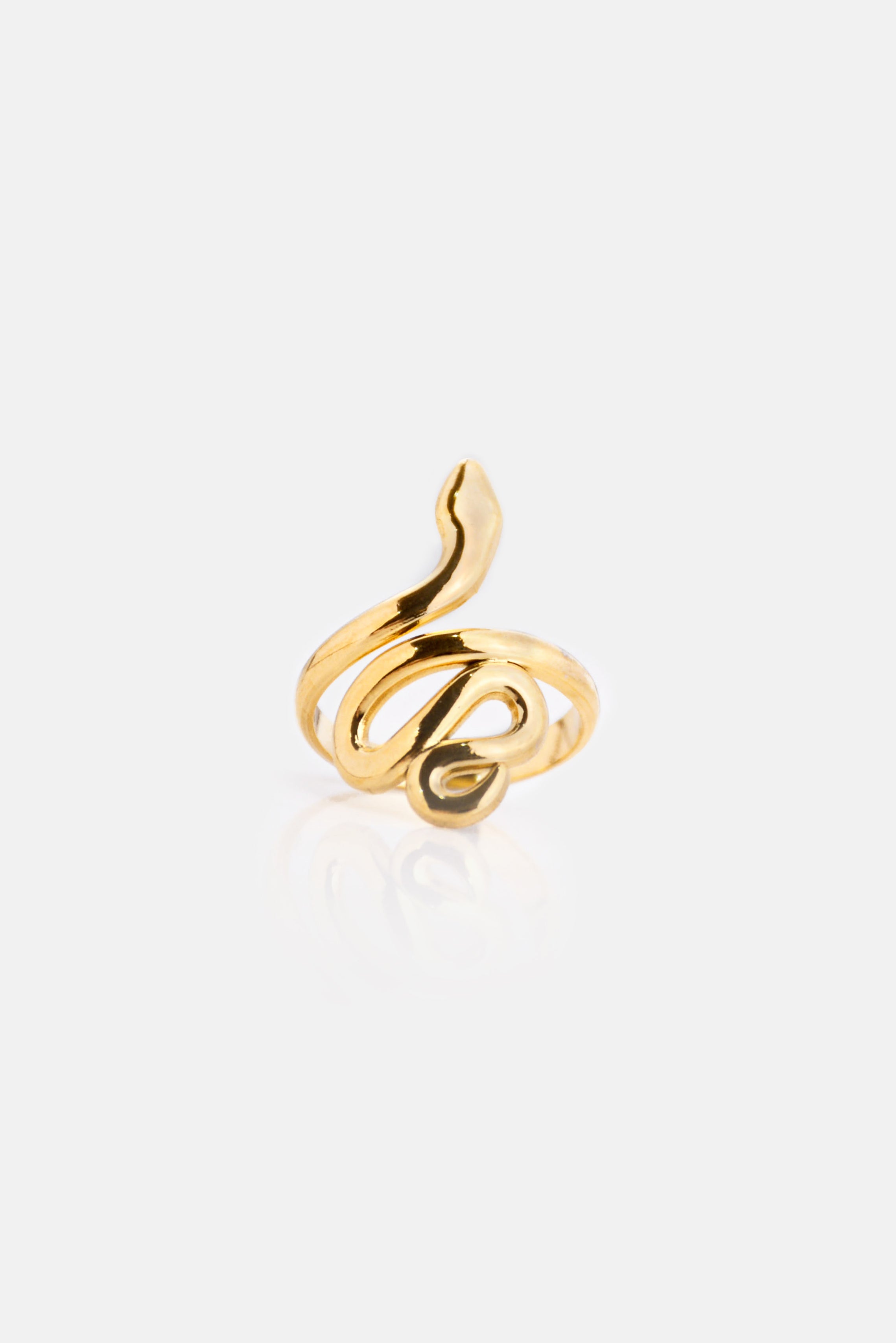 Anillo Reptile