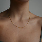 Collar Venus