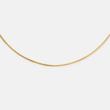 Collar Venus