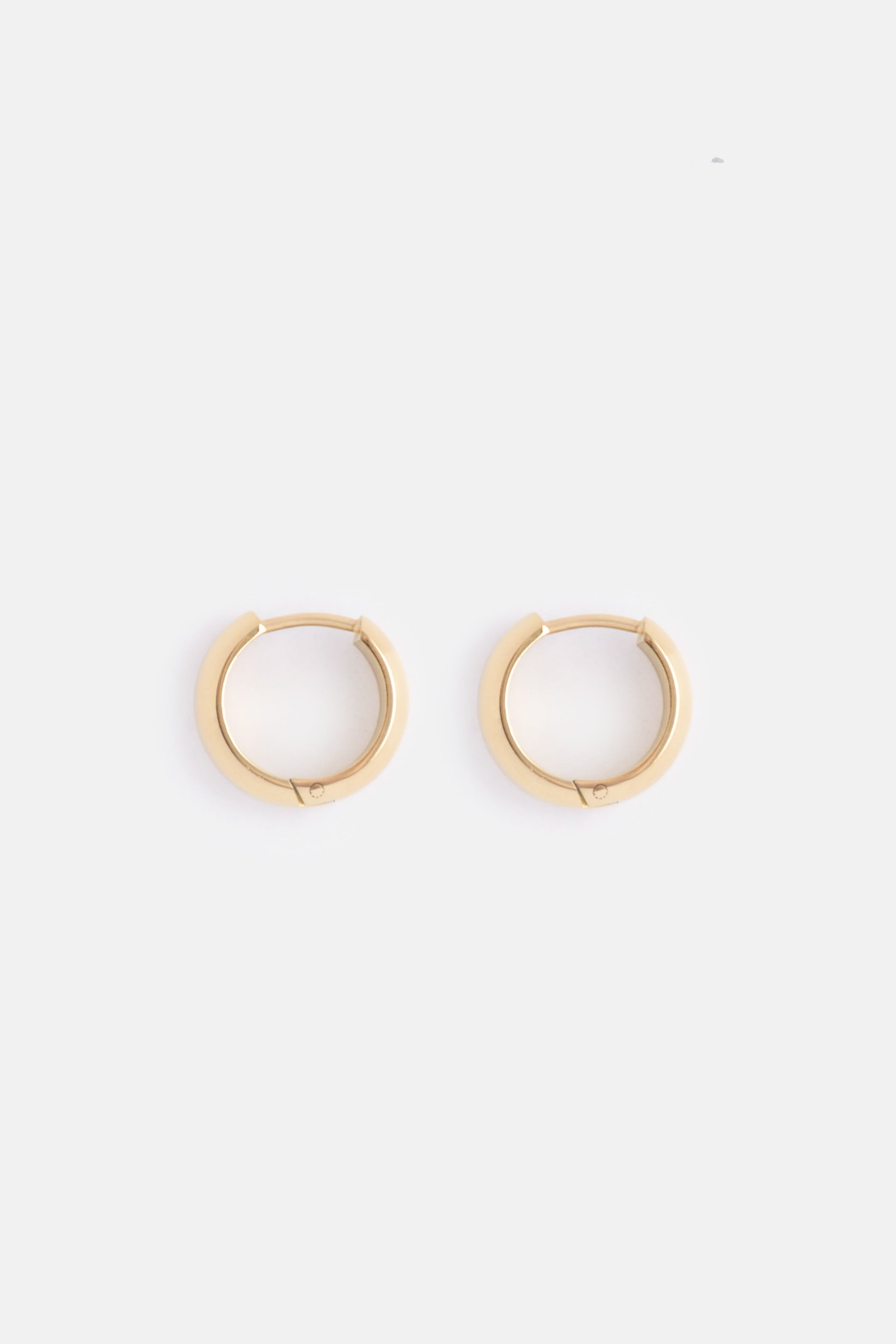 The Oval Hoop Earring