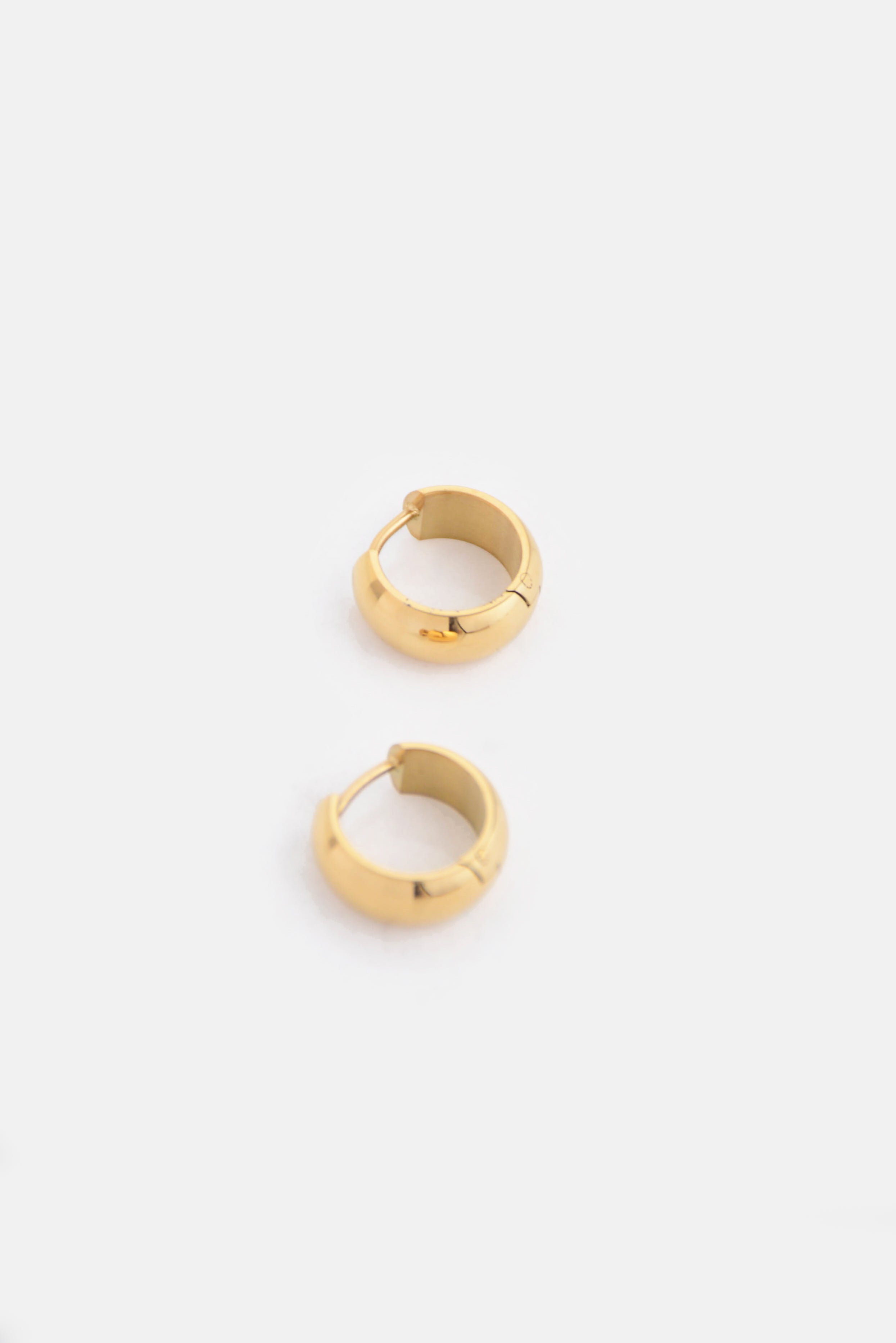 The Oval Hoop Earring