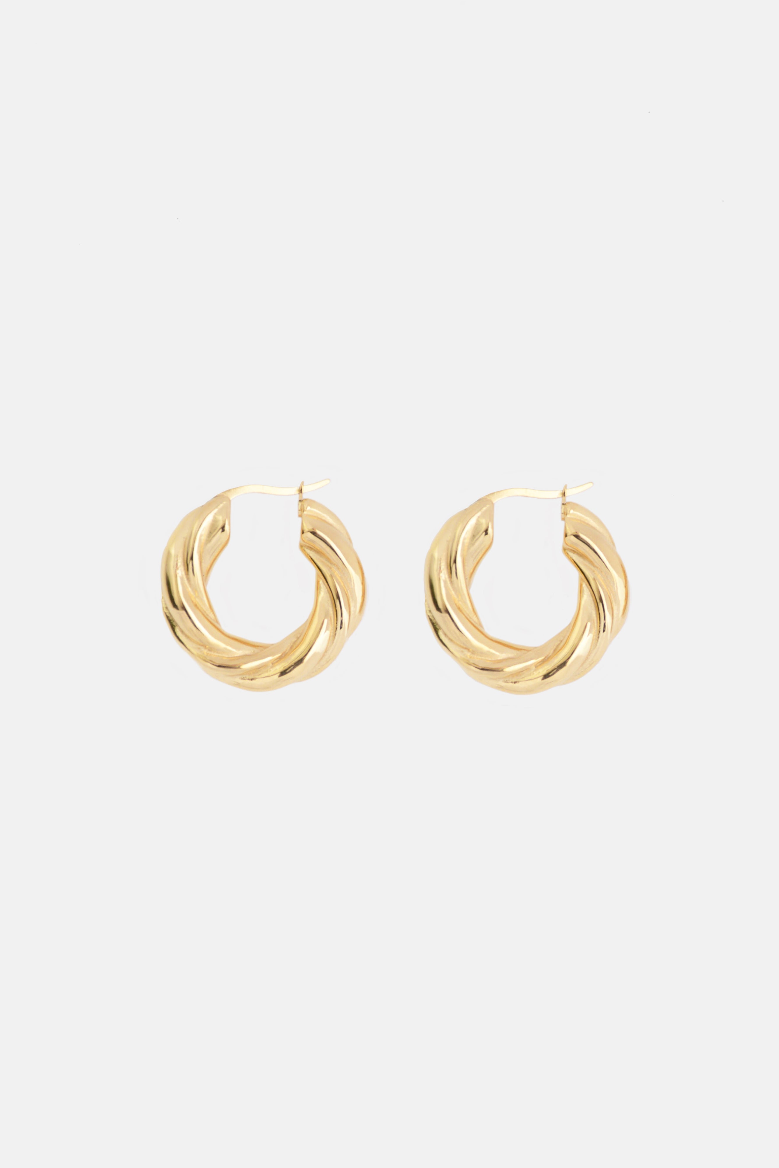 The Twisted Hoop Earring